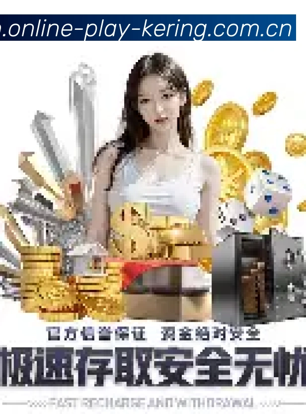 专业功能展示
